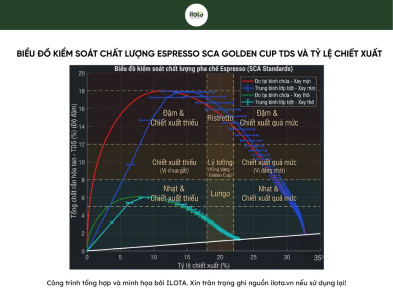 may-pha-ca-phe-ai-cach-mang-hoa-ly-ca-phe