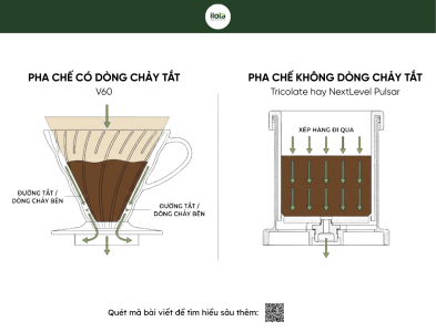 no-bypass-brewing-pha-ca-phe-khong-can-ong-dan