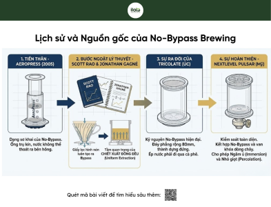no-bypass-brewing-pha-ca-phe-khong-can-ong-dan