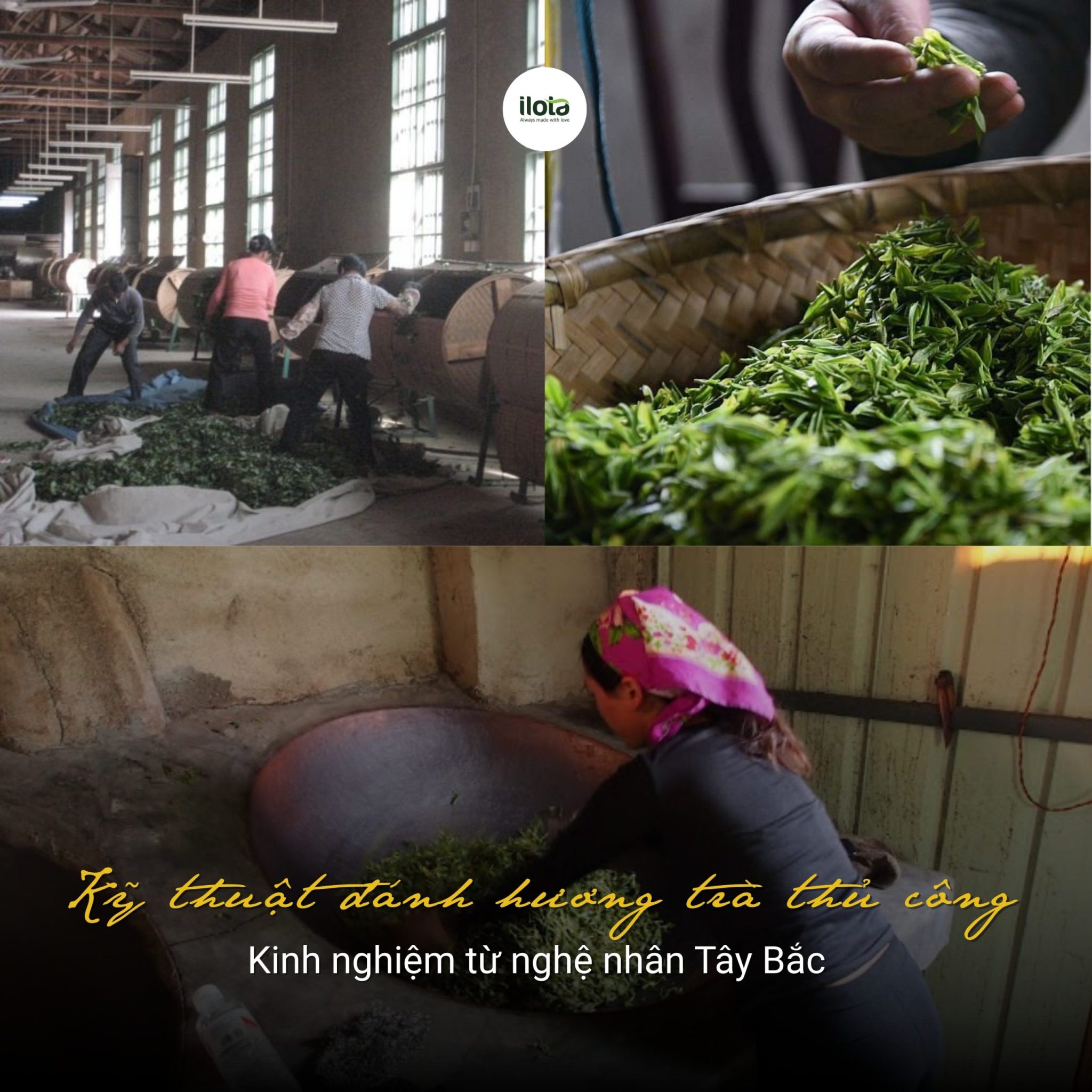 ky-thuat-danh-huong-tra