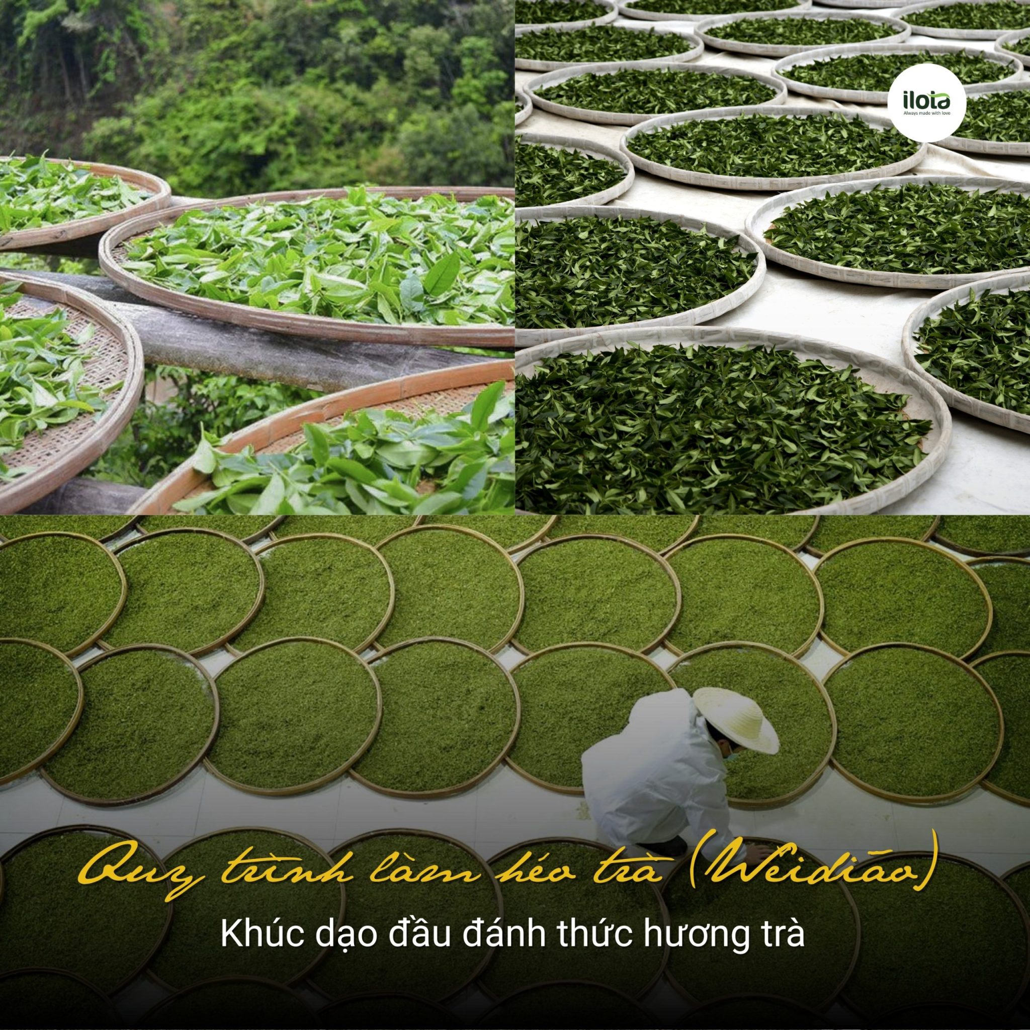 quy-trinh-lam-heo-tra