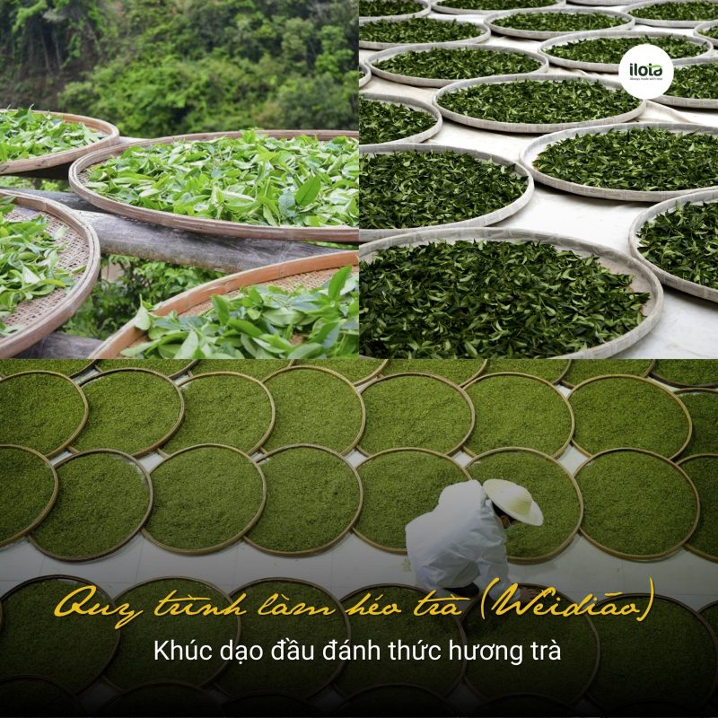 quy-trinh-lam-heo-tra