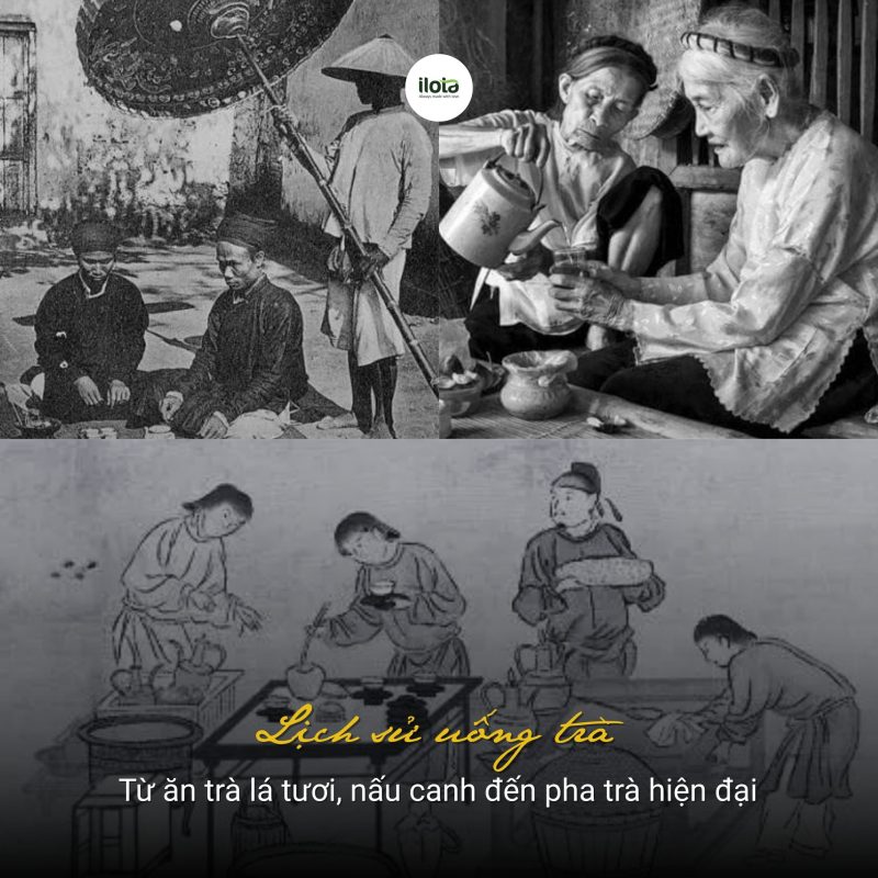 lich-su-uong-tra