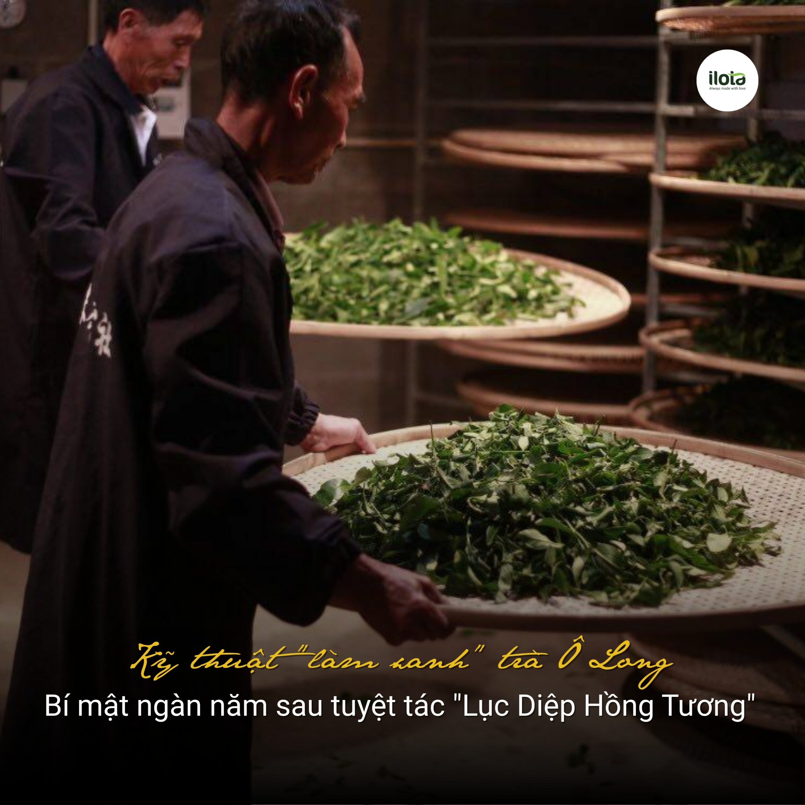 ky-thuat-lam-xanh-tra-o-long