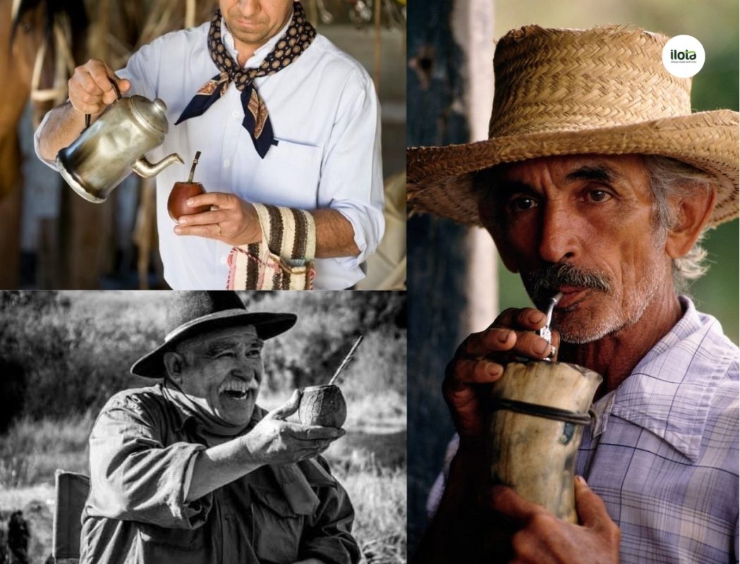yerba-mate
