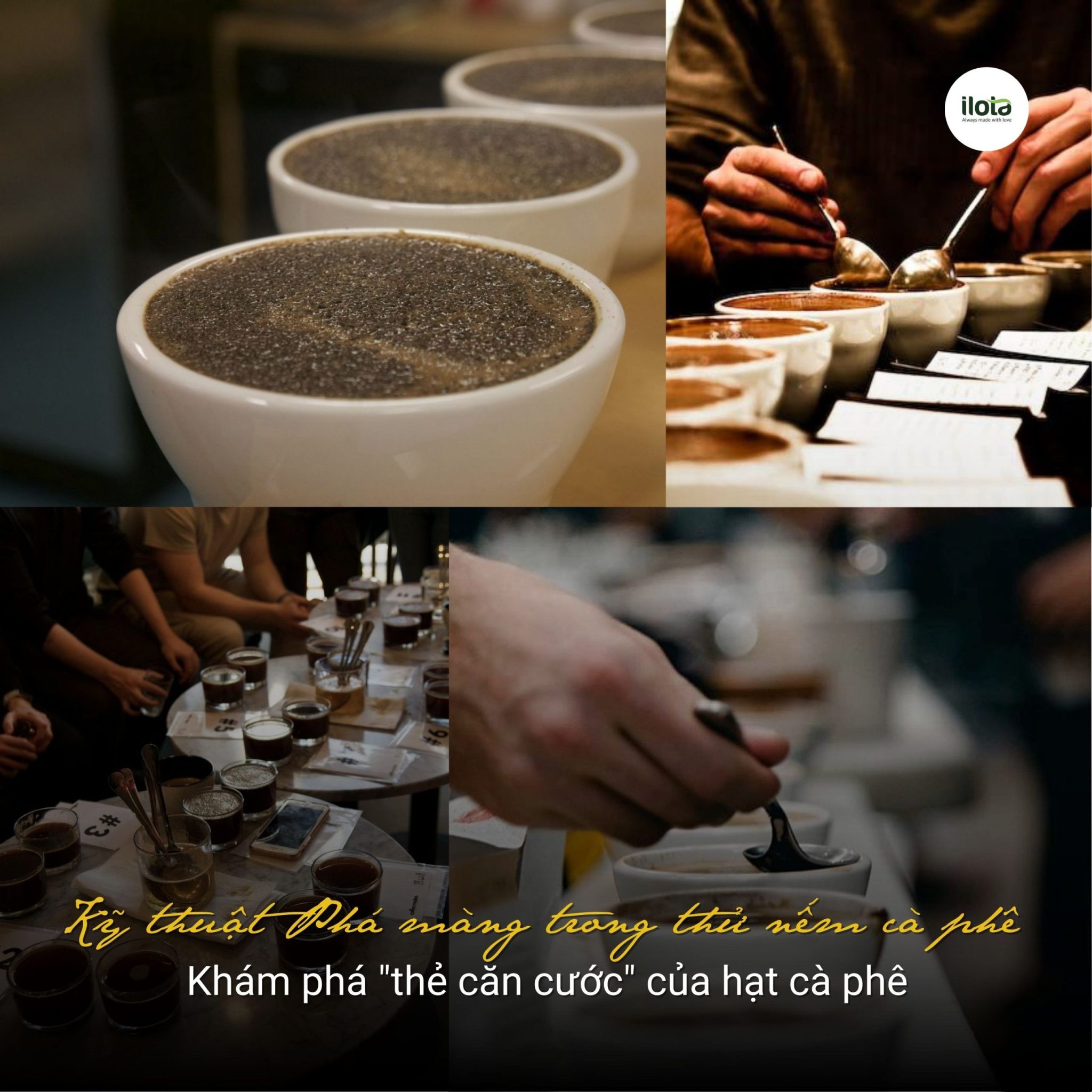 ky-thuat-pha-mang-trong-thu-nem-ca-phe