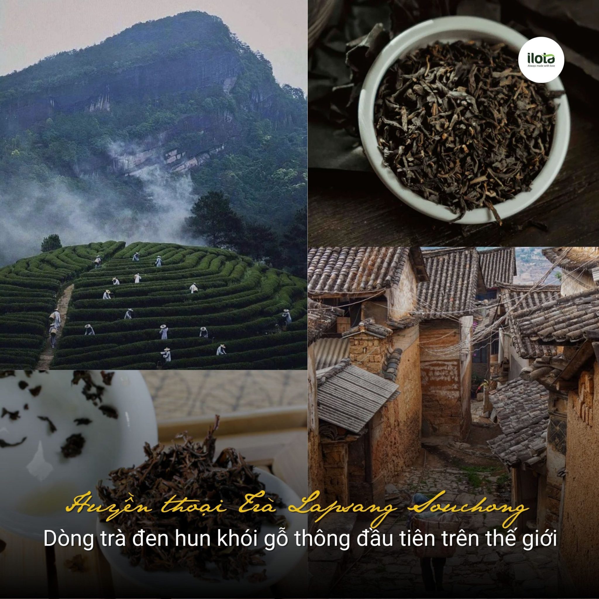 tra-lapsang-souchong