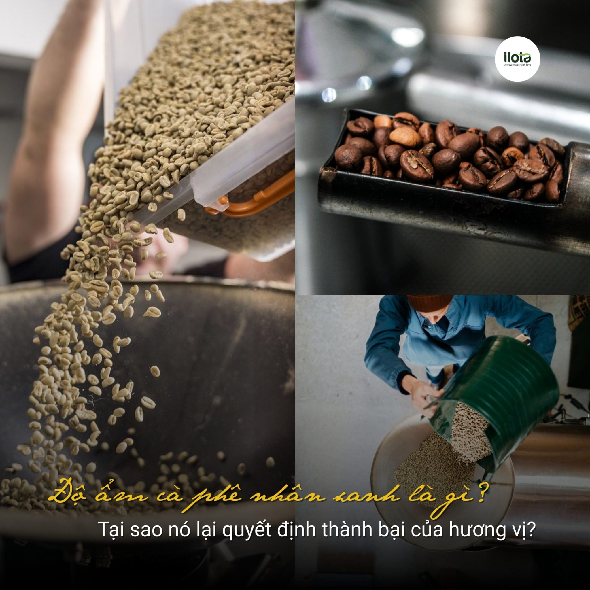 do-am-ca-phe-nhan-xanh