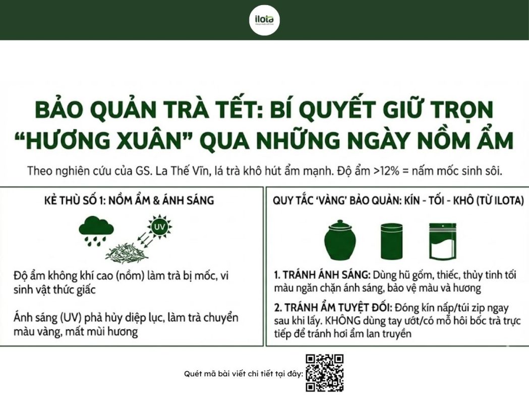 cac-loai-tra-nen-uong-vao-ngay-tet