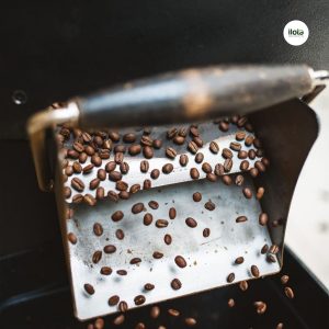 tai-sao-ca-phe-dac-san-lai-dat