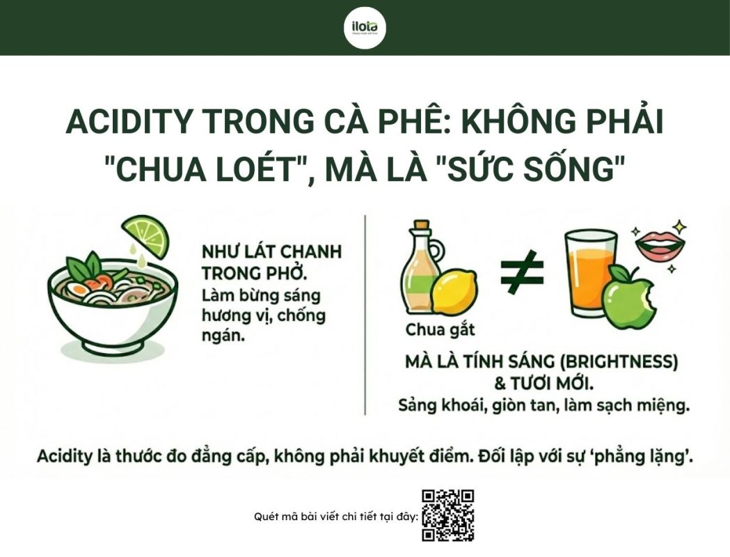 thuat-ngu-thu-nem-ca-phe