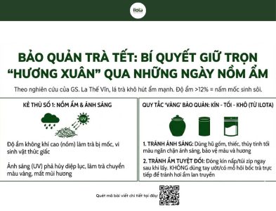 cac-loai-tra-nen-uong-vao-ngay-tet