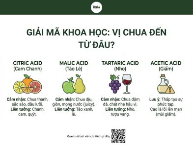 thuat-ngu-thu-nem-ca-phe