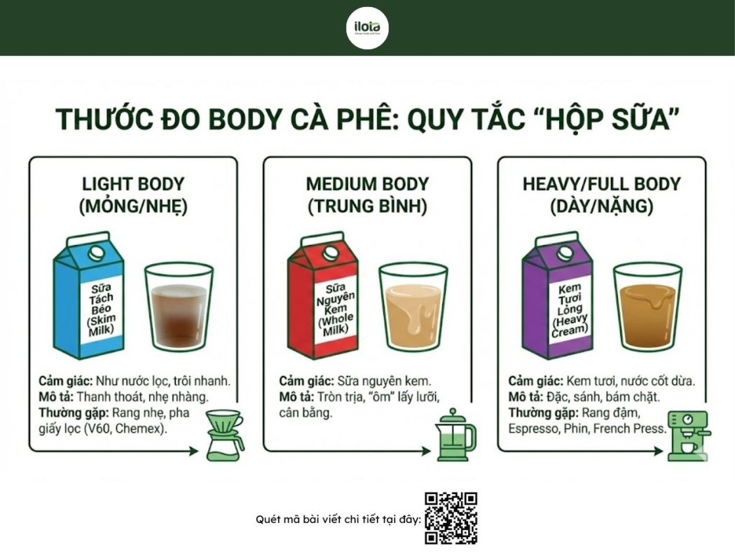 thuat-ngu-thu-nem-ca-phe