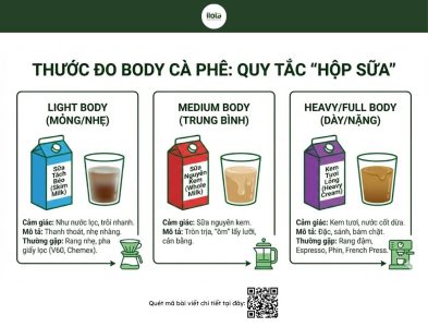 thuat-ngu-thu-nem-ca-phe