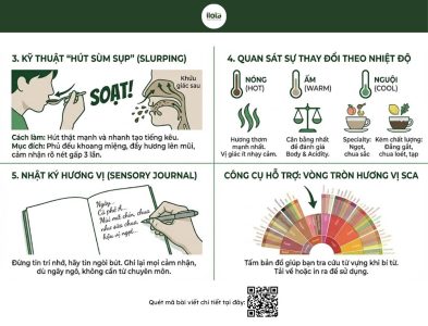 thuat-ngu-thu-nem-ca-phe