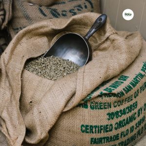 do-am-ca-phe-nhan-xanh