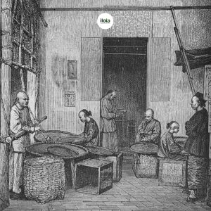 ky-thuat-danh-huong-tra