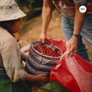 tai-sao-ca-phe-dac-san-lai-dat