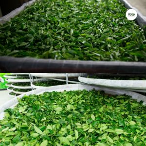 quy-trinh-lam-heo-tra