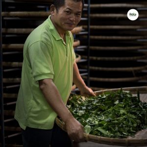 ky-thuat-lam-xanh-tra-o-long