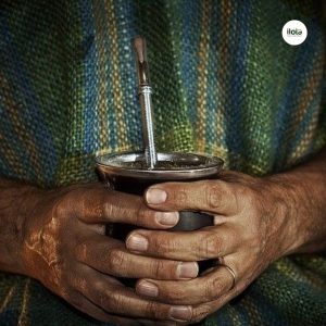 yerba-mate