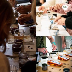 ky-thuat-pha-mang-trong-thu-nem-ca-phe