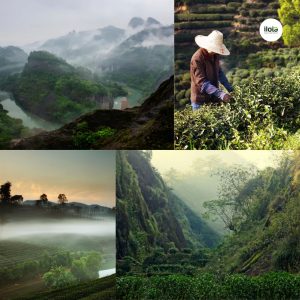 tra-lapsang-souchong