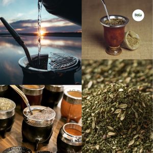 yerba-mate