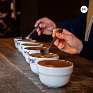 ky-thuat-pha-mang-trong-thu-nem-ca-phe