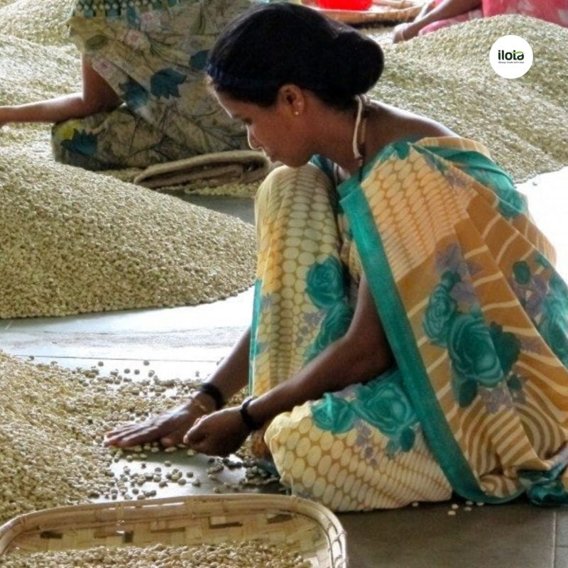 monsoon-malabar