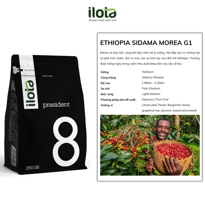 arabica-ethiopia-sidamo-morea