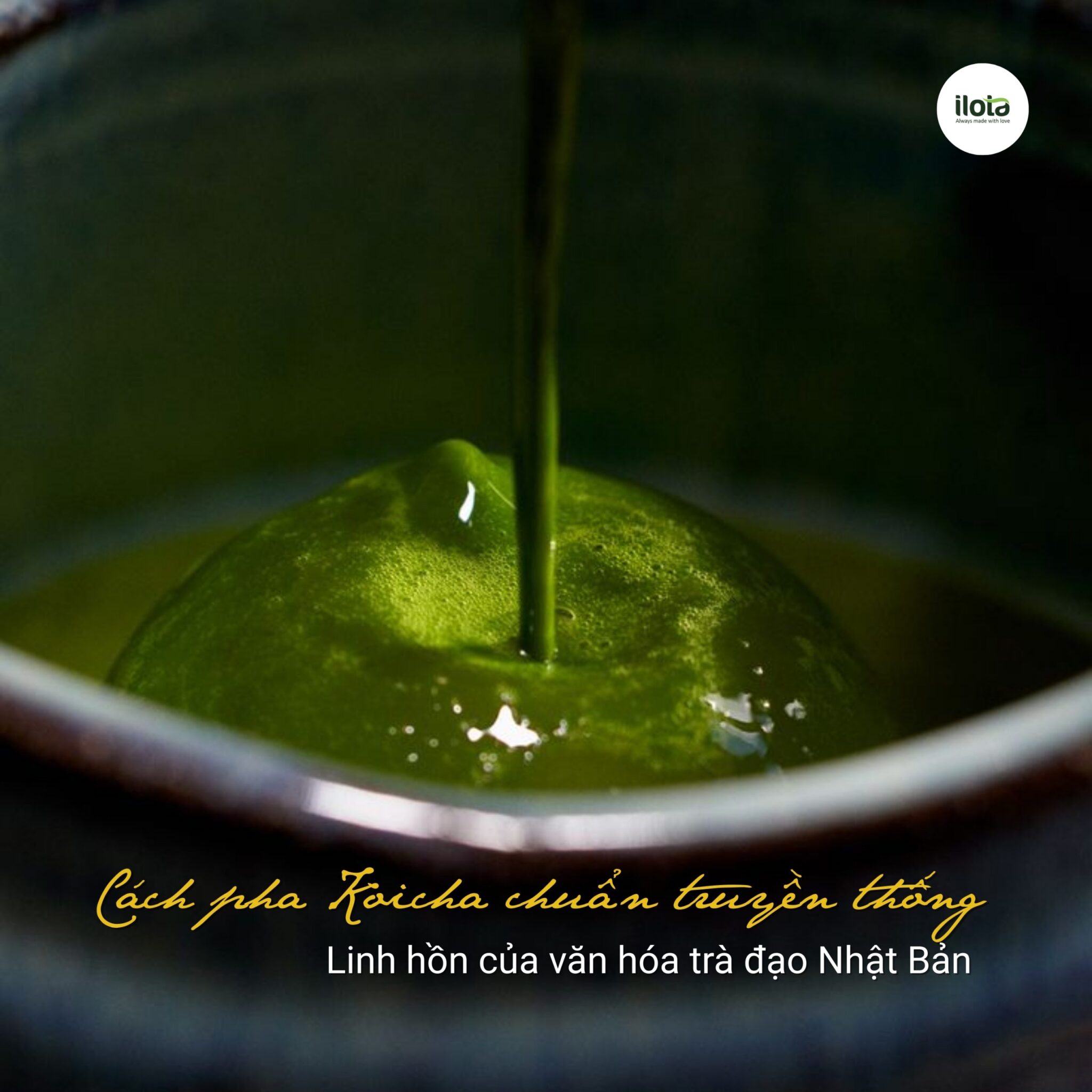 cach-pha-koicha