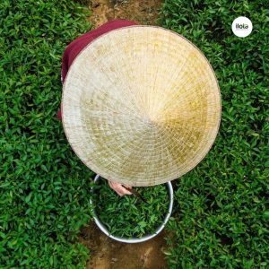 quy-trinh-lam-heo-tra