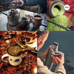 yerba-mate