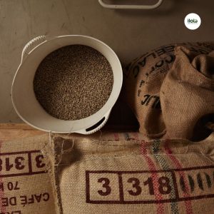 do-am-ca-phe-nhan-xanh