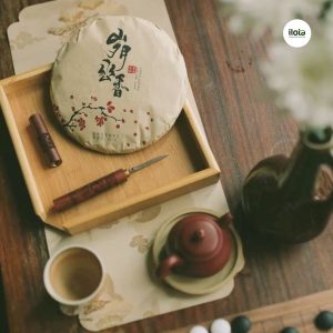 cac-loai-tra-nen-uong-vao-ngay-tet