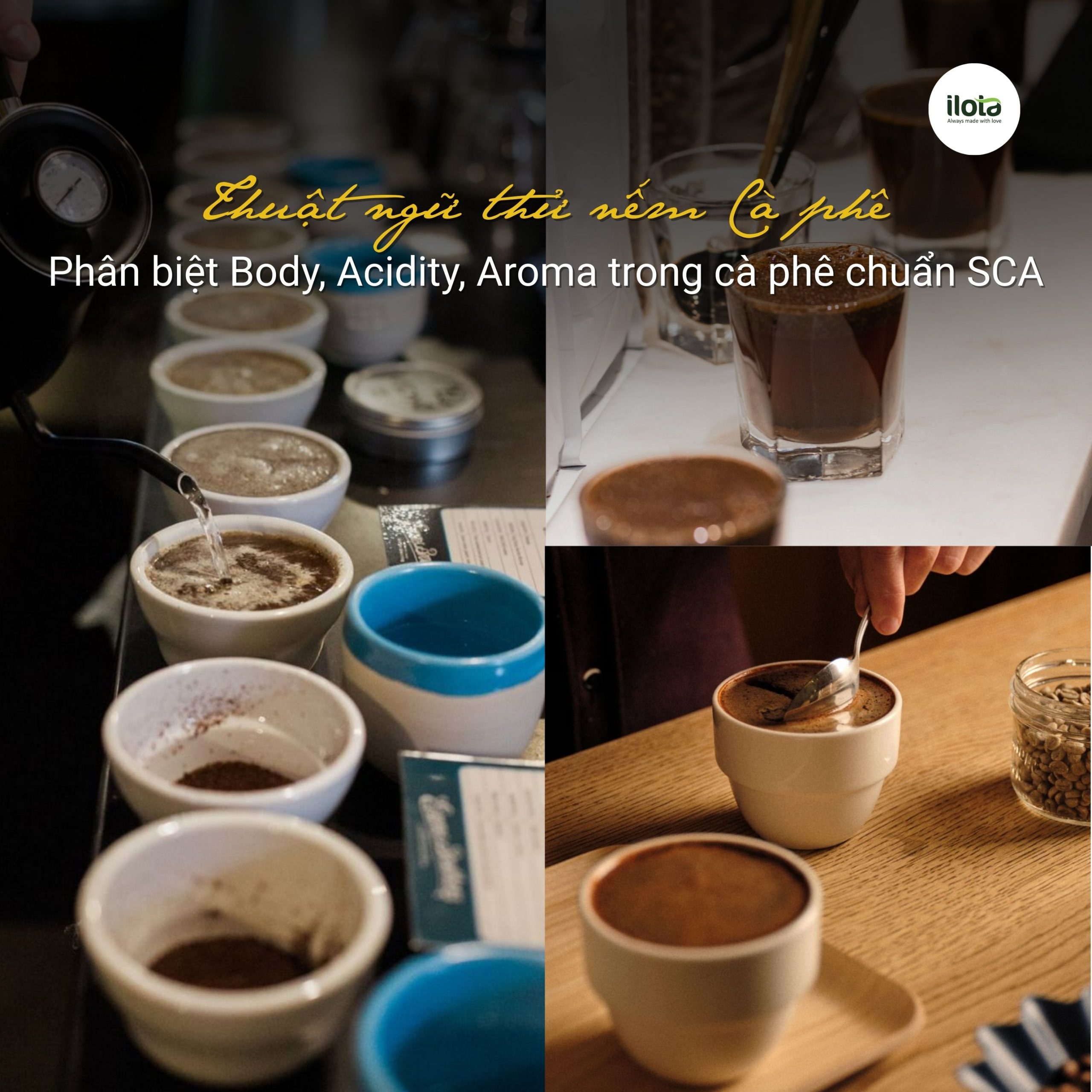 thuat-ngu-thu-nem-ca-phe