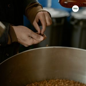 cac-loi-trong-rang-ca-phe