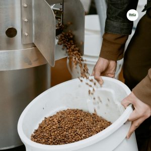 cach-chinh-gio-may-rang-ca-phe