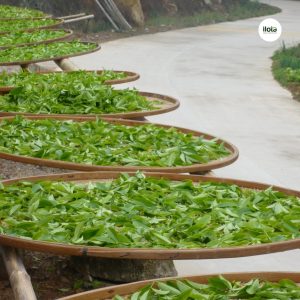 quy-trinh-lam-heo-tra