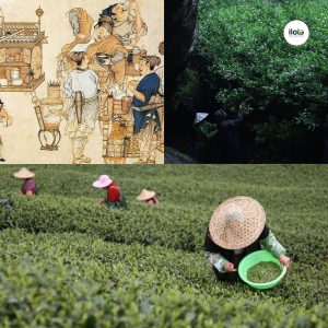 ky-thuat-lam-xanh-tra-o-long