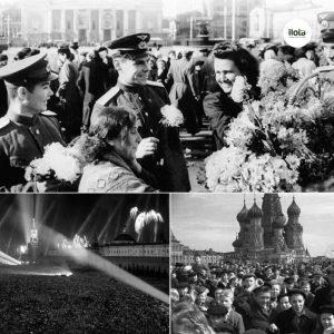 su-sup-do-cua-hiep-dinh-ca-phe-quoc-te