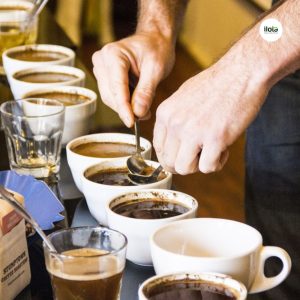 ky-thuat-pha-mang-trong-thu-nem-ca-phe