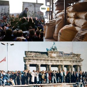 su-sup-do-cua-hiep-dinh-ca-phe-quoc-te