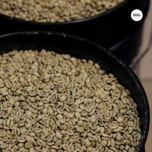 do-am-ca-phe-nhan-xanh