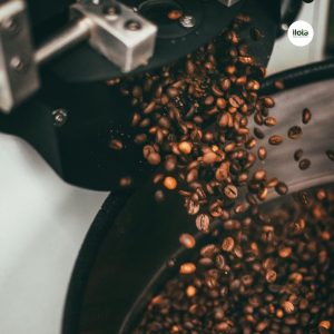 tai-sao-ca-phe-dac-san-lai-dat