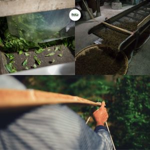 cac-loi-thuong-gap-trong-che-bien-tra