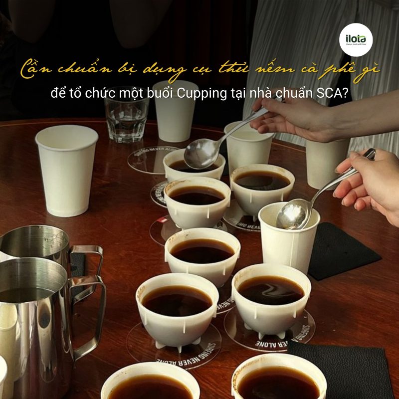 dung-cu-thu-nem-ca-phe