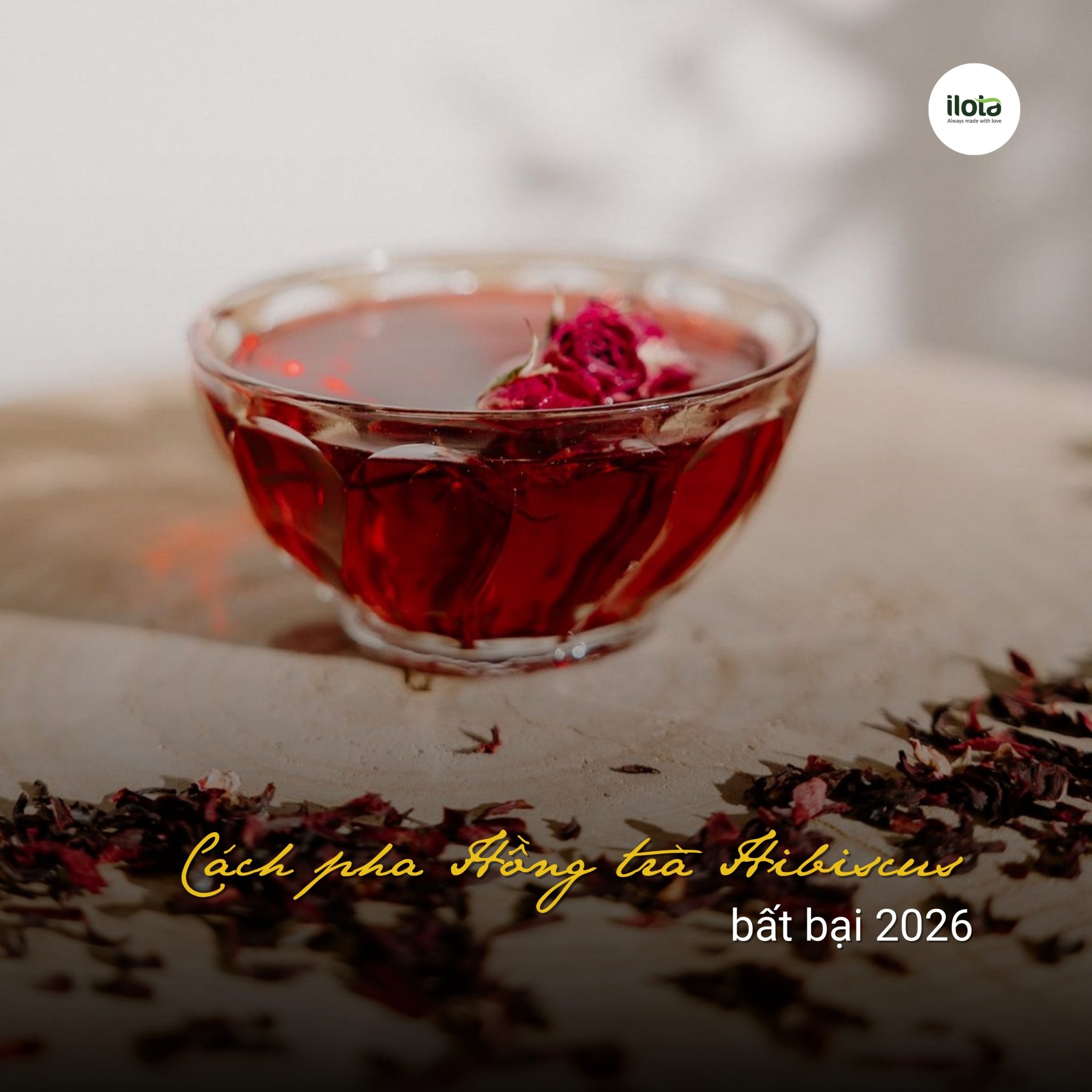 cach-pha-hong-tra-hibiscus